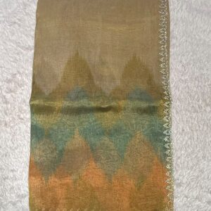DESIGNER SAREE PN20
