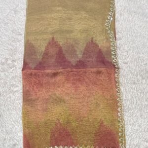 DESIGNER SAREE PN20