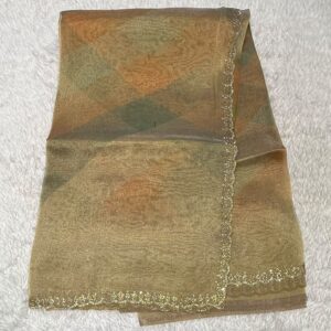 DESIGNER SAREE L41