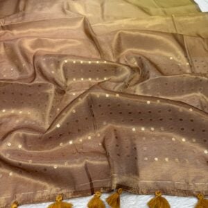 CELEBRITI CONCEPT SAREE KP10