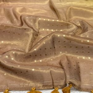 CELEBRITI CONCEPT SAREE KP10 - Image 2
