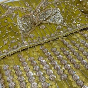 BRIDAL COLLECTION SAREE DPW5 - Image 3