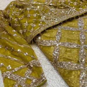 Alternative view of BRIDAL DESIGNER PARTY WEAR SAREE HP25