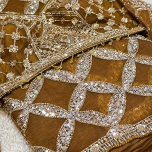 BRIDAL DESIGNER PARTY WEAR SAREE HP25 - Image 4